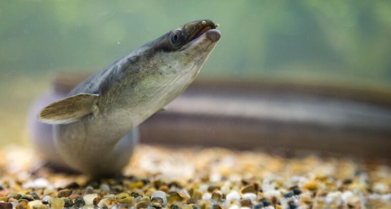 Pressemeddelelse den 28. marts 2018 kl. 1000