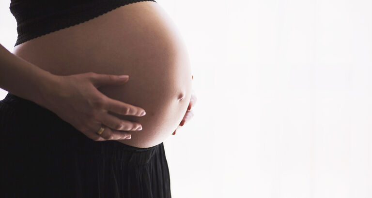 Gravid1
