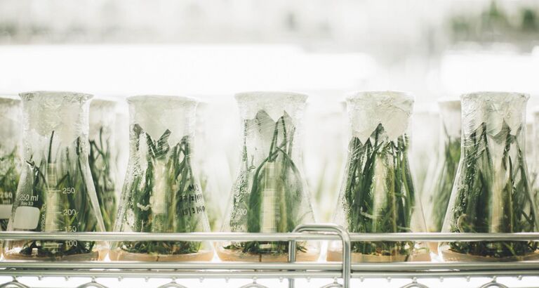 Mange ansøgninger til Grand Solutions