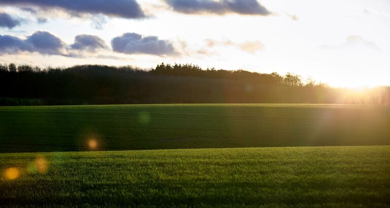 AgriFoodTure - Fotograf: Peter Prik Larsen