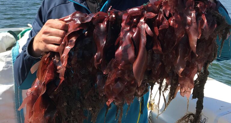 LTA Boost Grand Solutions