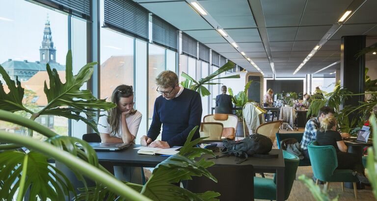 Regenerativt byggeri foto: Camilla Stephan